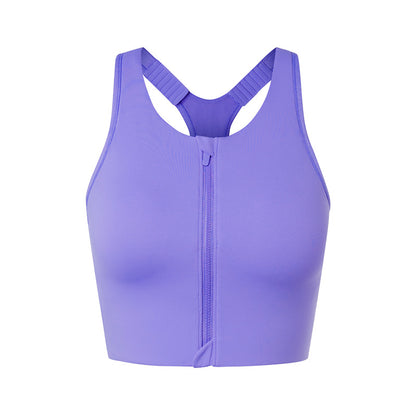 Platycodon Grandiflorum Purple