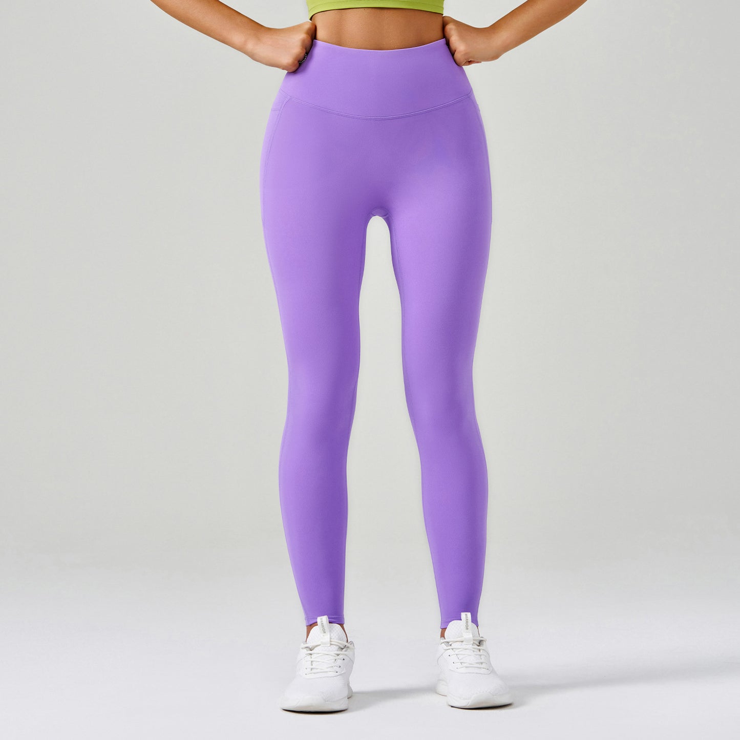 Calamus Purple Acorus Calamus Purple