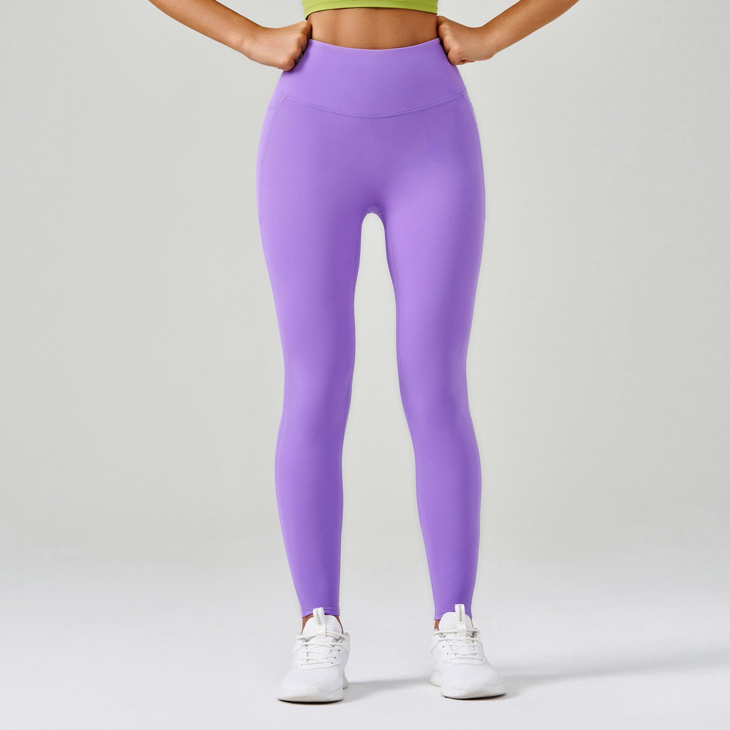 Calamus Purple Acorus Calamus Purple