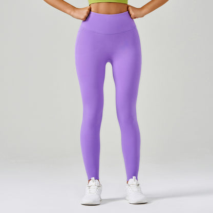 Calamus Purple Acorus Calamus Purple