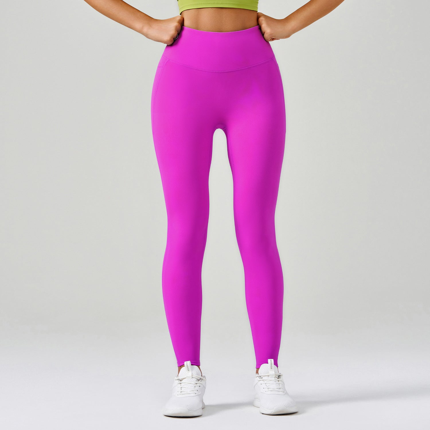 Purple Rose Red Purple Rose Red