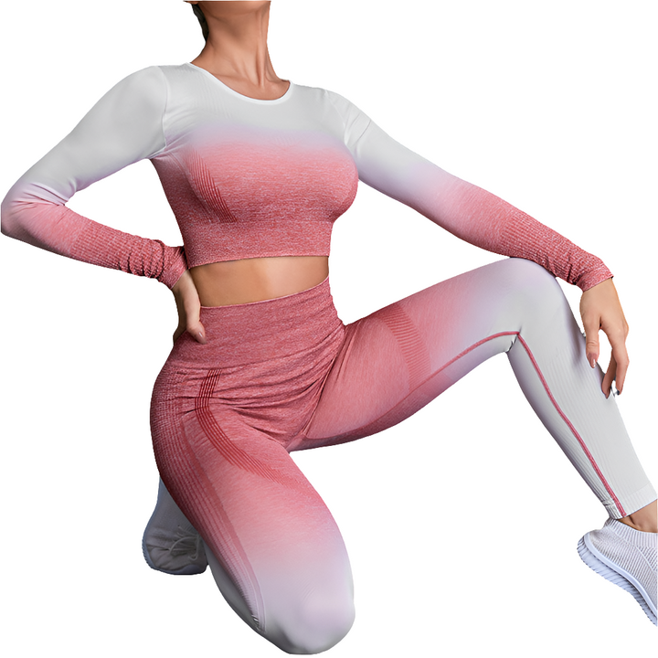 Fall Quick Drying Professional Skinny Running Nylon Long Sleeve Gradient Fitness Clothes Yoga Clothes Sports Women