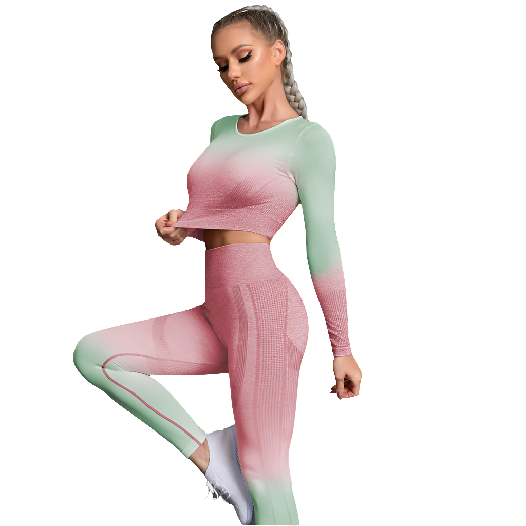 Fall Quick Drying Professional Skinny Running Nylon Long Sleeve Gradient Fitness Clothes Yoga Clothes Sports Women