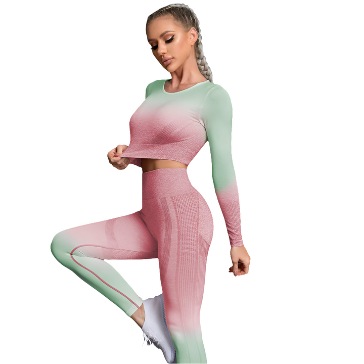 Fall Quick Drying Professional Skinny Running Nylon Long Sleeve Gradient Fitness Clothes Yoga Clothes Sports Women